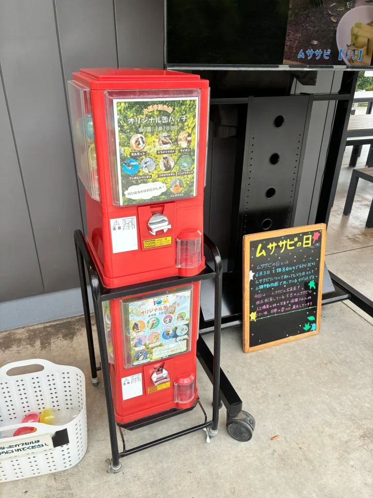 小諸市動物園の通常版ガチャ(100円)