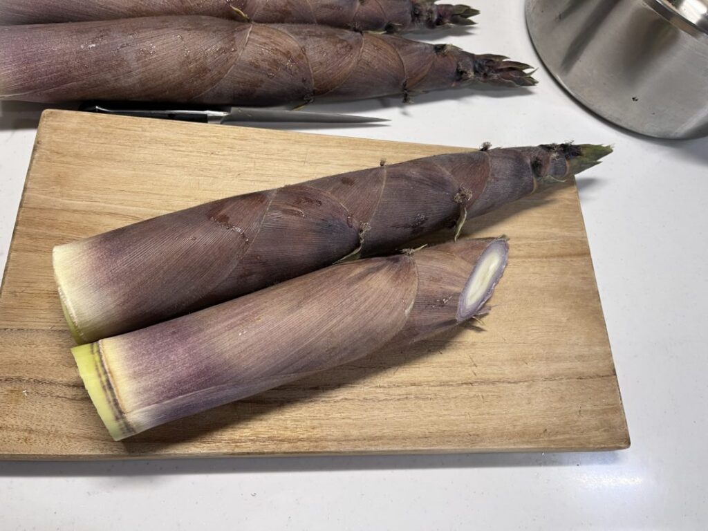 あく抜き前の新鮮なたけのこをまな板の上に並べた様子