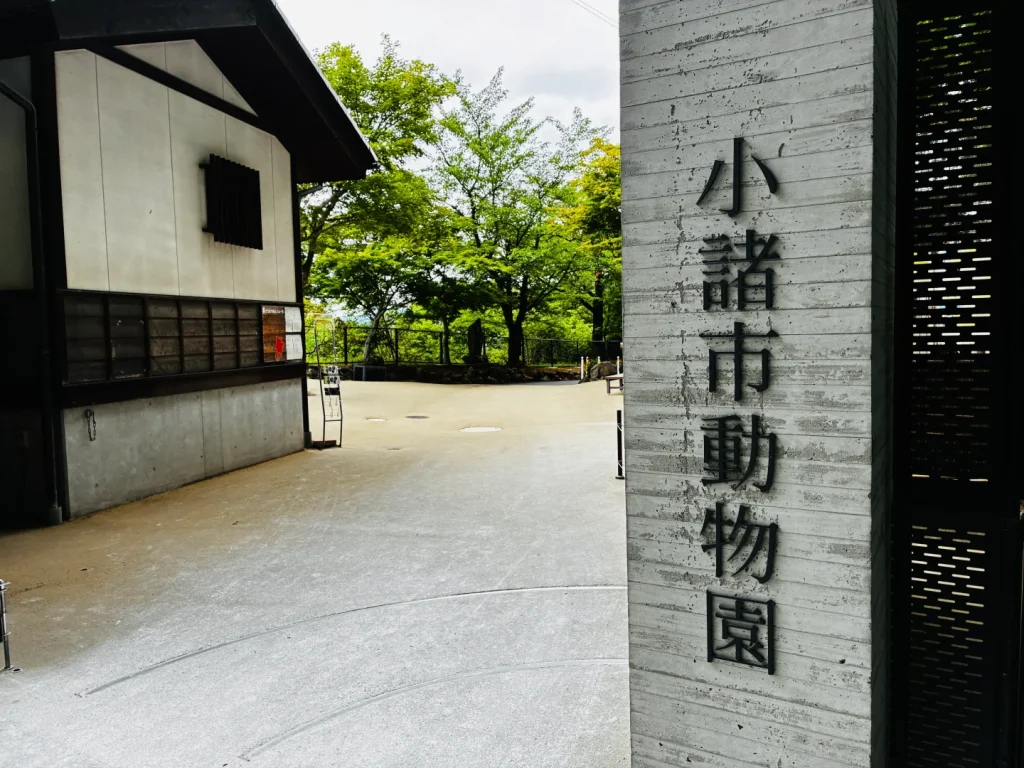 100周年の小諸市動物園へ｜のんびり動物を観察できる、懐古園のアットホームな動物園【前編】