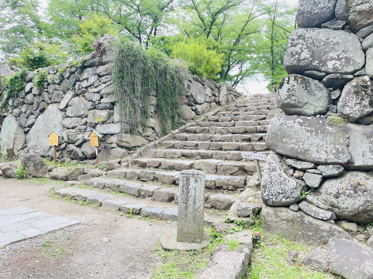 懐古園の苔むした石段と、自然石を積み上げた野面積みの石垣。新緑の枝垂れがかかる