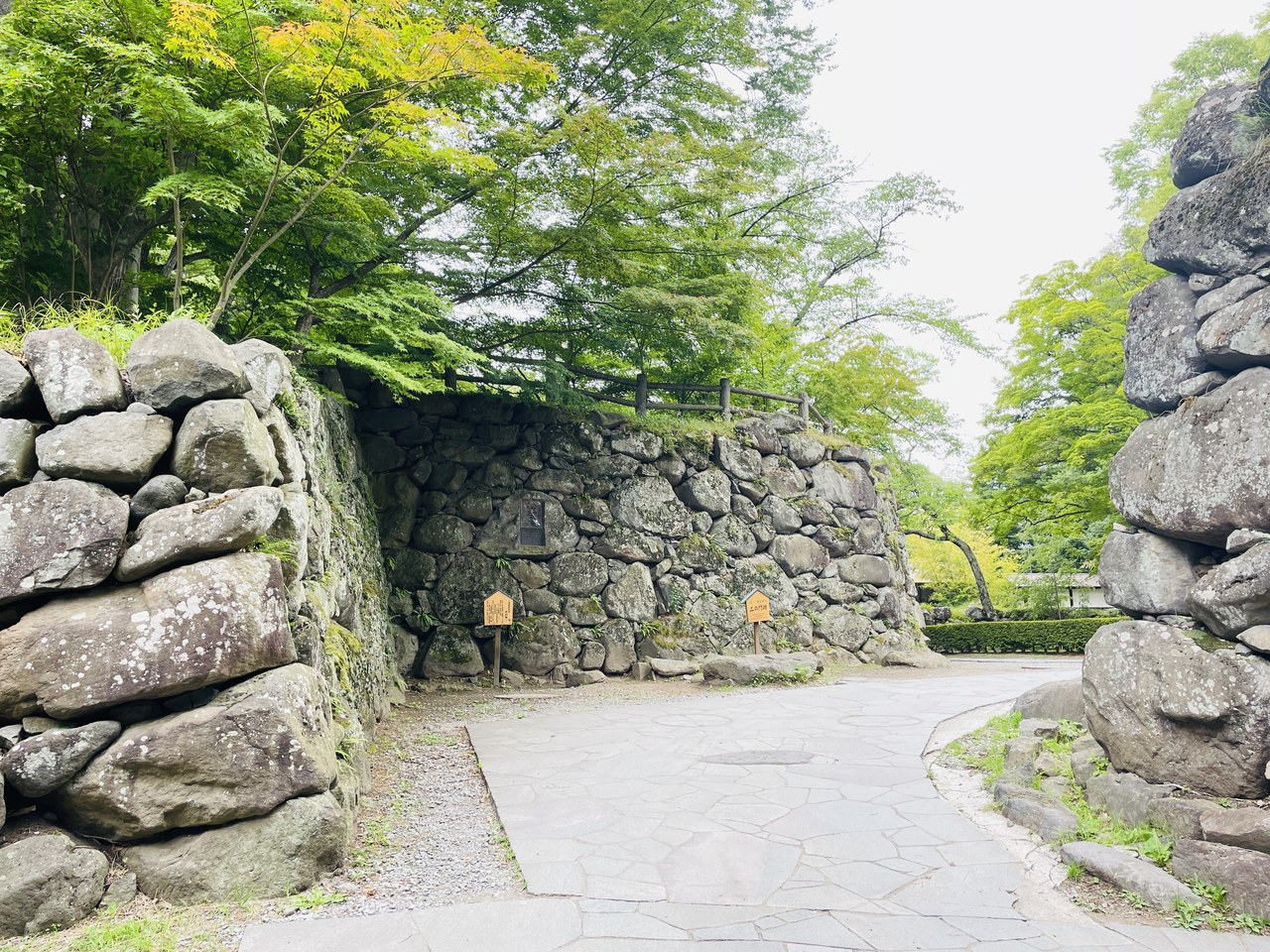 懐古園内に残る、苔むした野面積みの石垣と新緑の木々