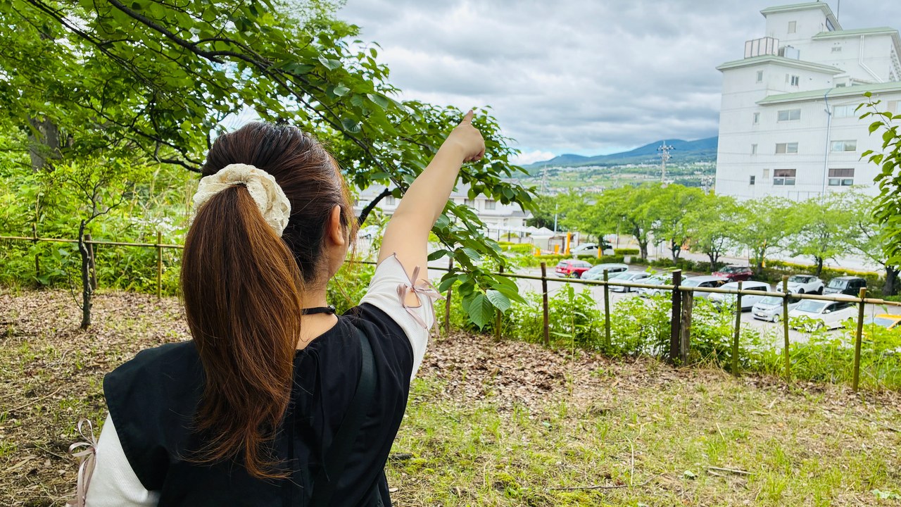 懐古園で、袴姿で弓を構える人の後ろ姿。新緑の景色を背に的へ向かう