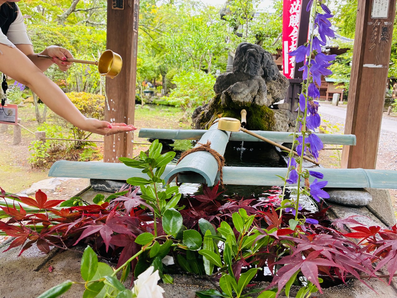 懐古神社の手水舎。訪れた日は水面に紅葉や桔梗の花が浮かべられていた