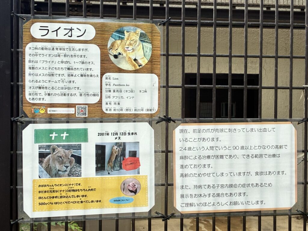 小諸市動物園のライオン展示スペース