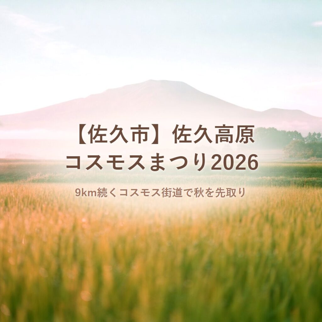 【佐久市】佐久高原コスモスまつり2026｜9km続くコスモス街道で秋を先取り