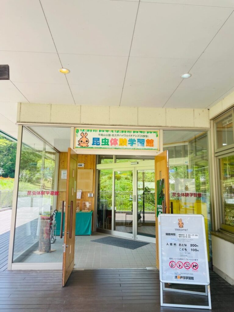 【パラダで遊ぼう①】昆虫体験学習館の「物づくり体験」｜どんぐりや松ぼっくりで自由工作