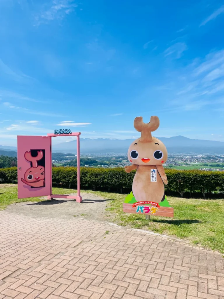 【2026夏】パラダはこう遊ぶ｜スタッフさんに聞いたイチオシ5選＋編集部おすすめ