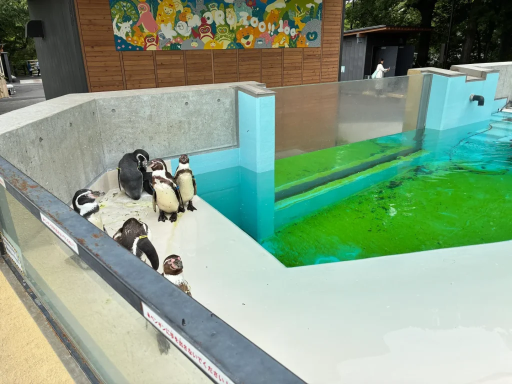 小諸市動物園のペンギン飼育施設