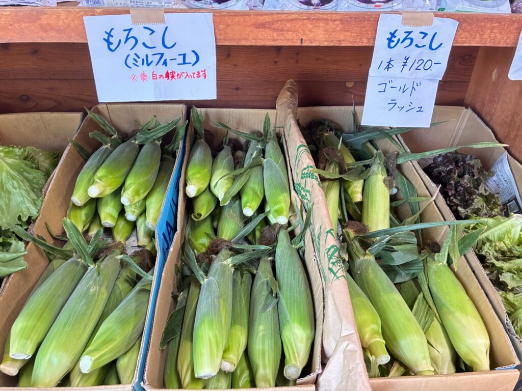 1本120円で売られているとうもろこし