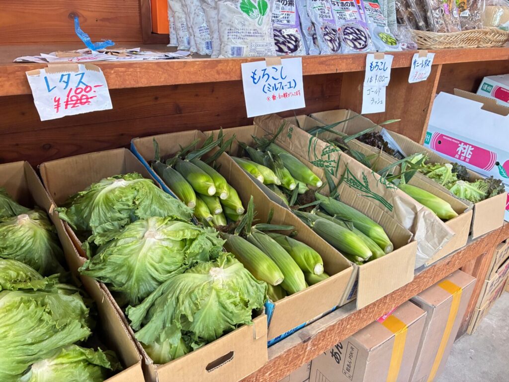 レタスなどが並ぶ直売所の野菜販売コーナー