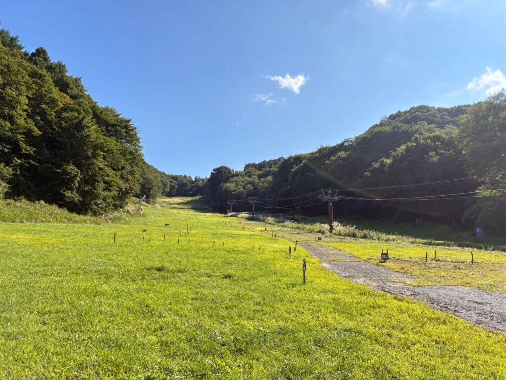 斜面に沿って並ぶオートサイトCの区画