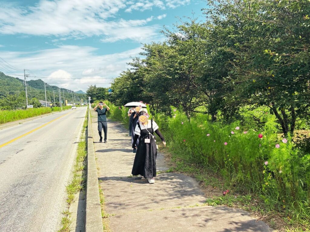 コスモス街道の歩道を歩く人たち。右手にコスモスの花畑が続く