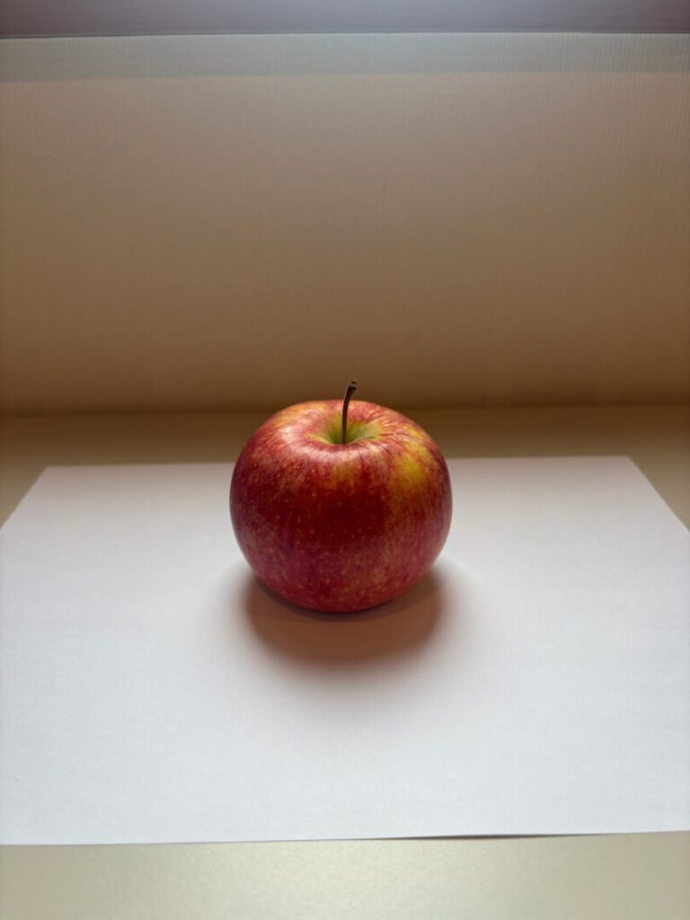白い紙を敷いて窓の光を活かして撮った赤いりんごの写真