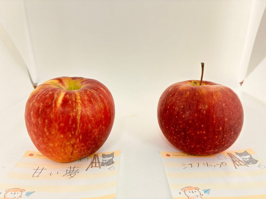 シナノリップと甘い夢を並べた比較写真