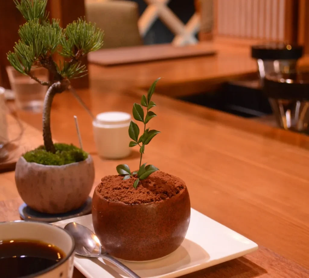 植木鉢のような器に入った、ココアの土から葉がのぞく彩本堂の盆栽ティラミス