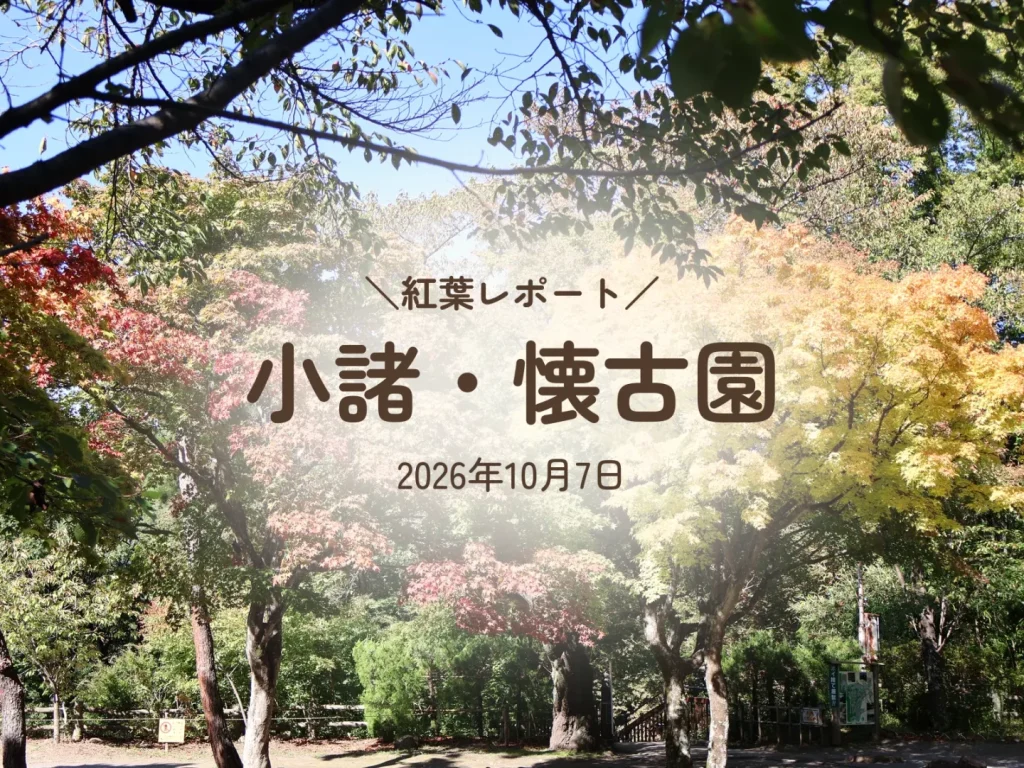 【2026年10月】懐古園の紅葉の見頃は？10/7は色づき始めでした
